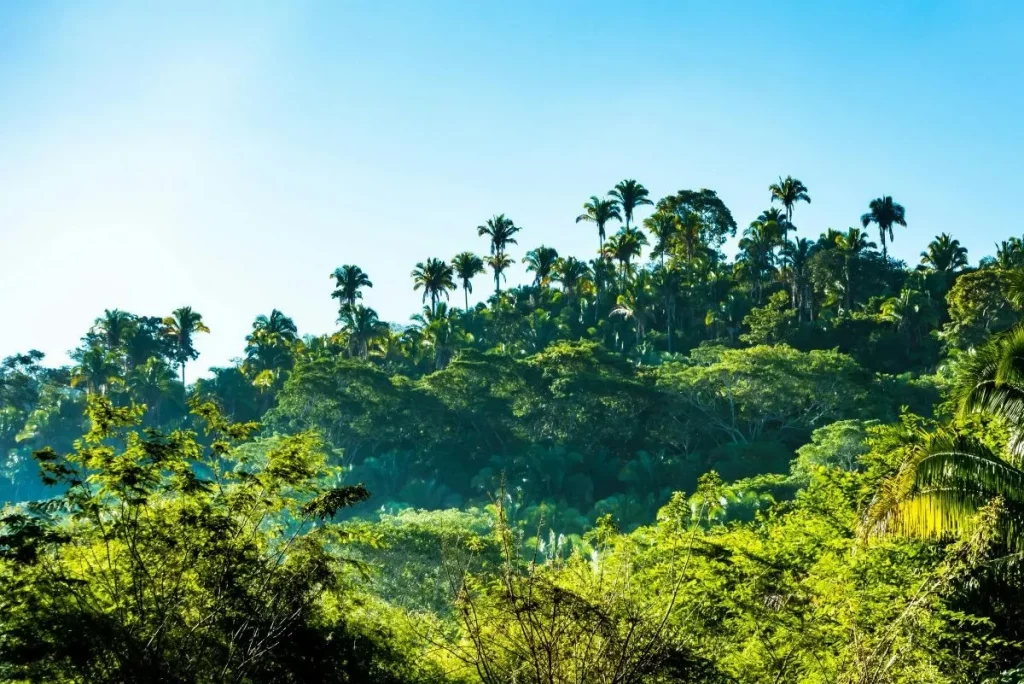 Reise nach Costa Rica